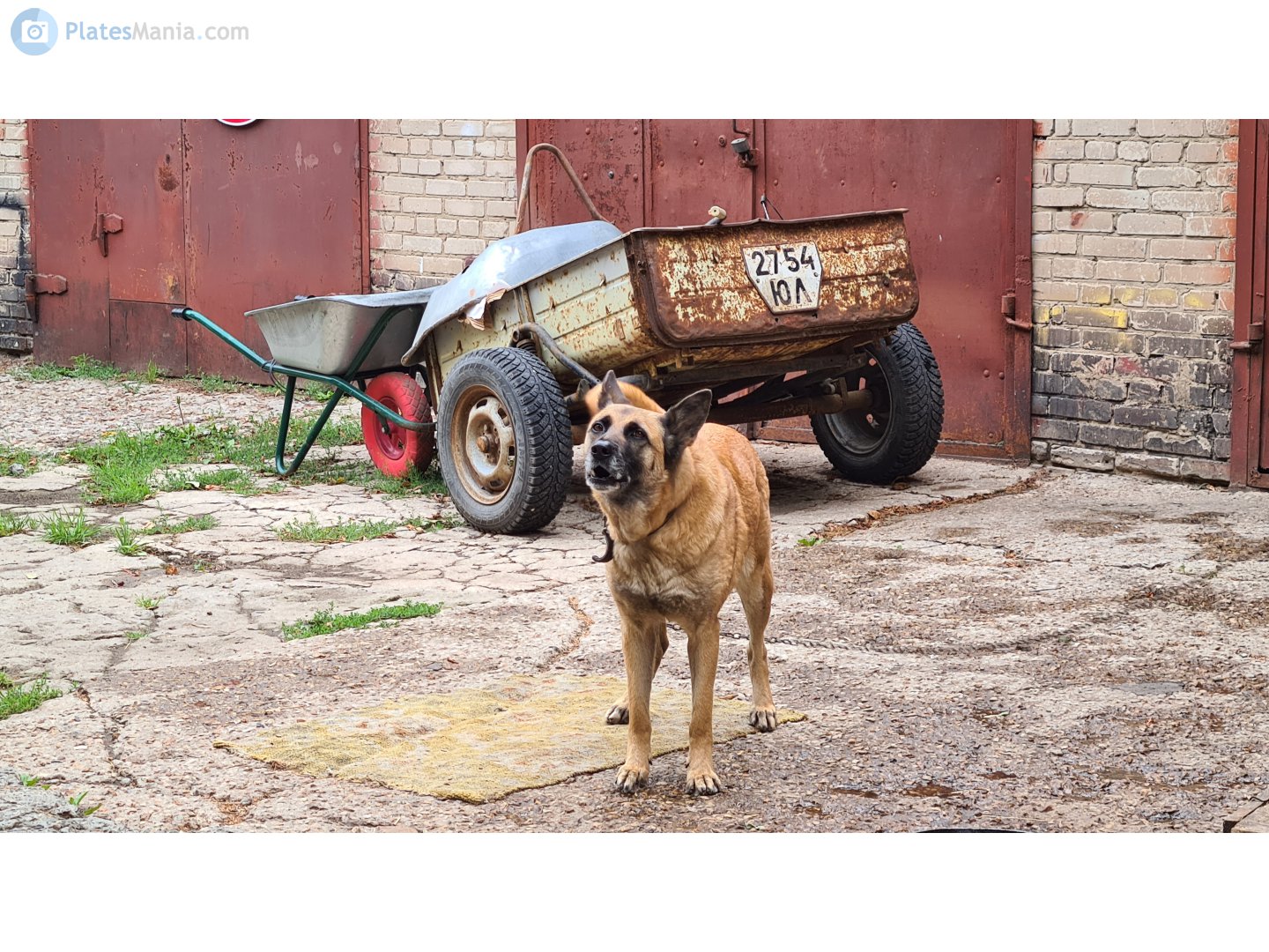 2754 ЮЛ, VPMZ (VMZ) 8291 (9.601) 