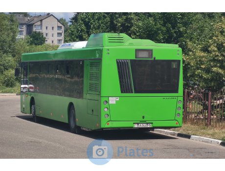 BA 0445-5, MAZ 203