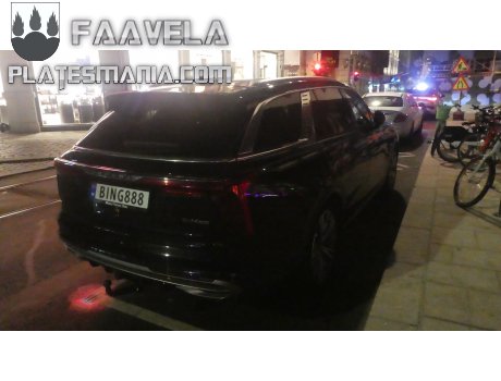 BING888, Hongqi E-HS9
