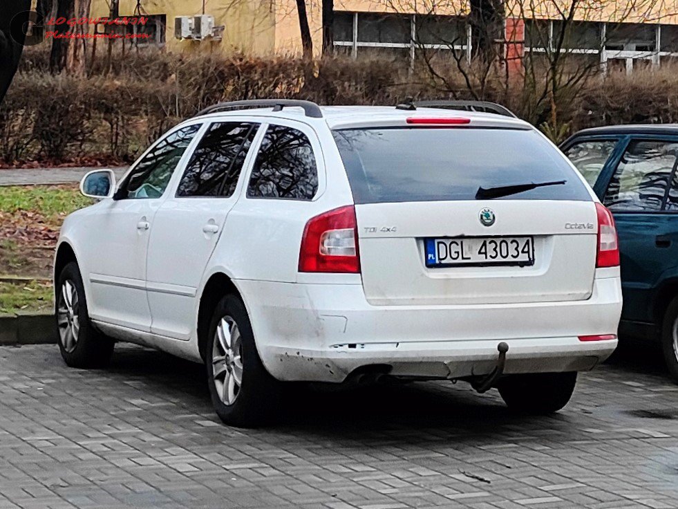 DGL 43034, Skoda Octavia 2nd gen Combi (A5/1Z5), facelift, 2009–2013