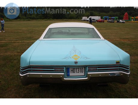 H01310, Buick Electra
