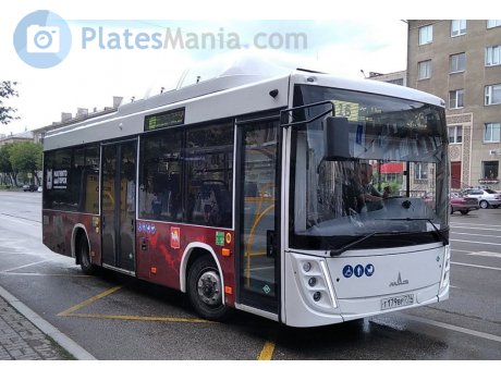 т179вр774, MAZ 206