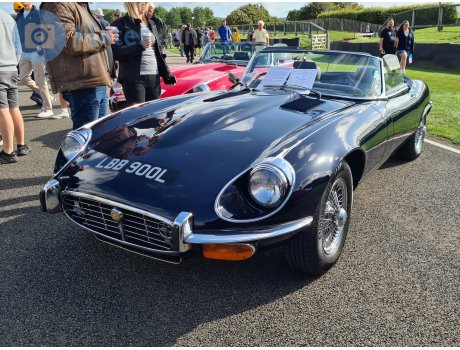 LBB 900L, Jaguar E-Type