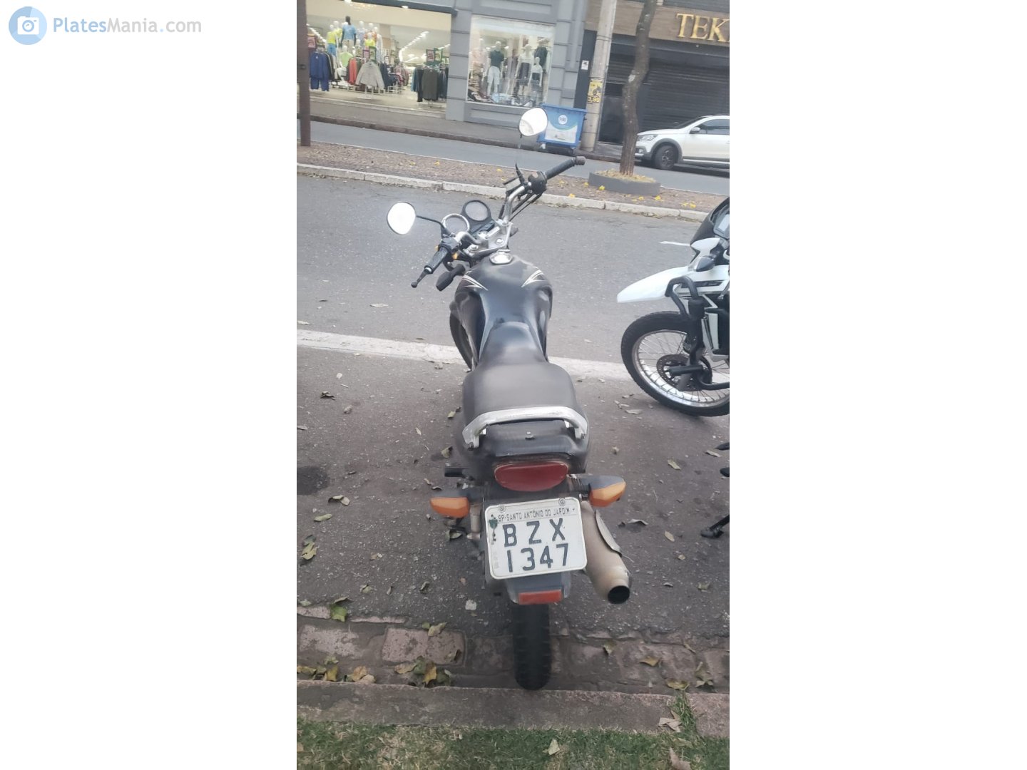 BZX-1347, Suzuki EN Series 