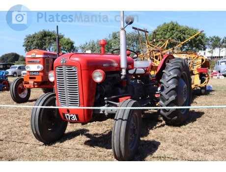 1731, Massey Ferguson 30-Series