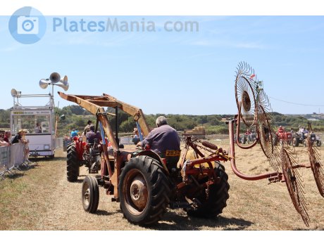 28312, Massey Ferguson 30-Series