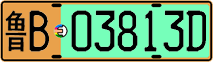 License plate of China, Electric vehicles