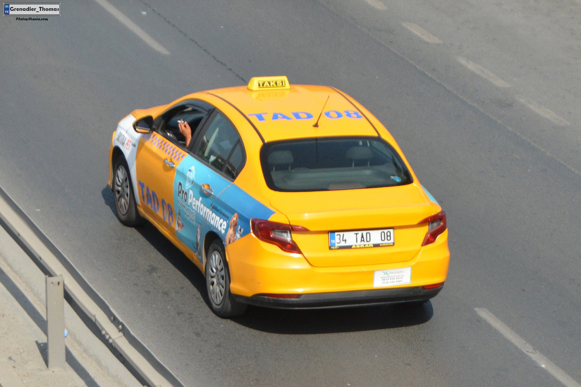 34 TAD 08, FIAT Ægea 