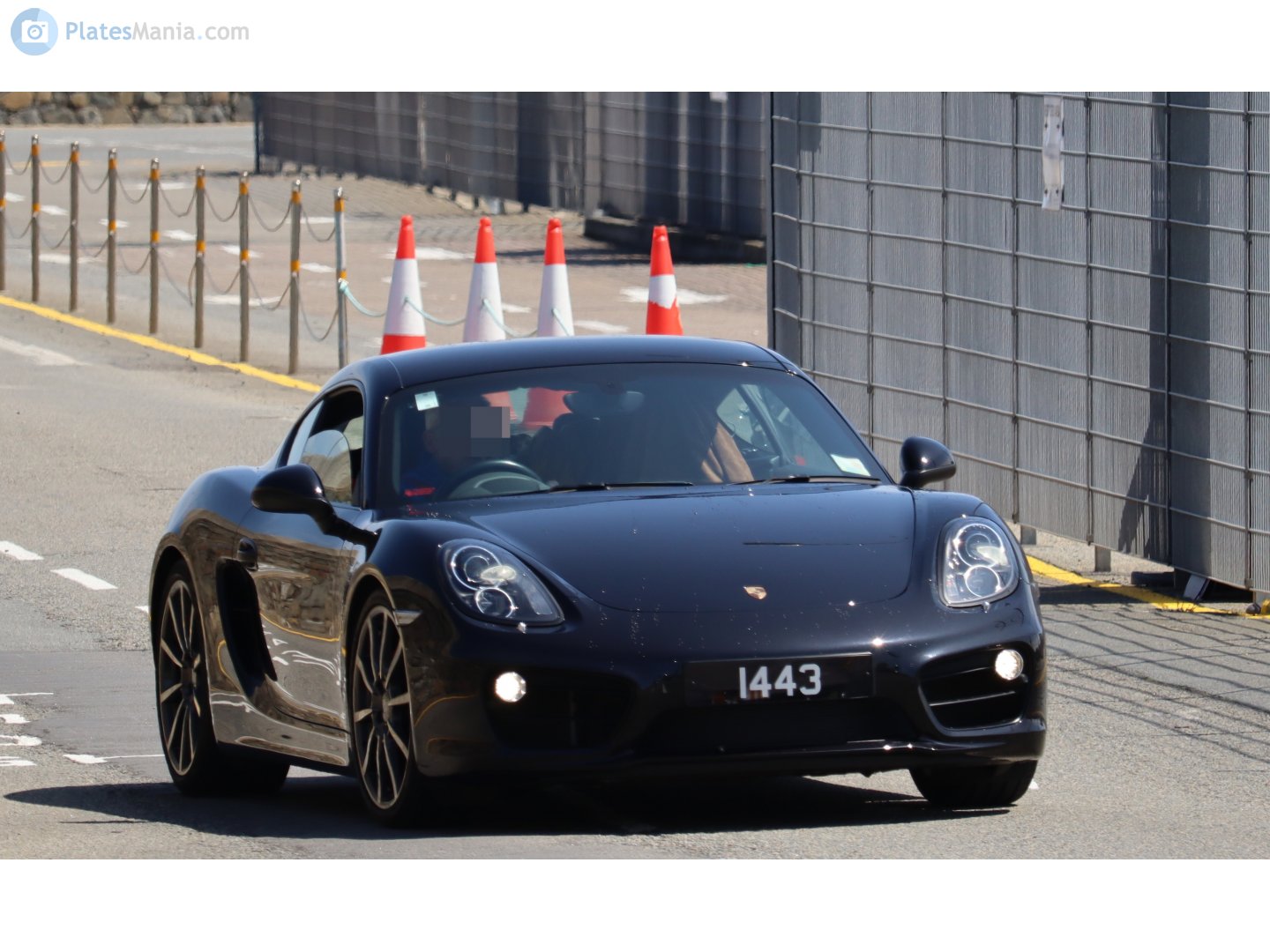 1443, Porsche Cayman 2nd gen (981C), 2013–2018