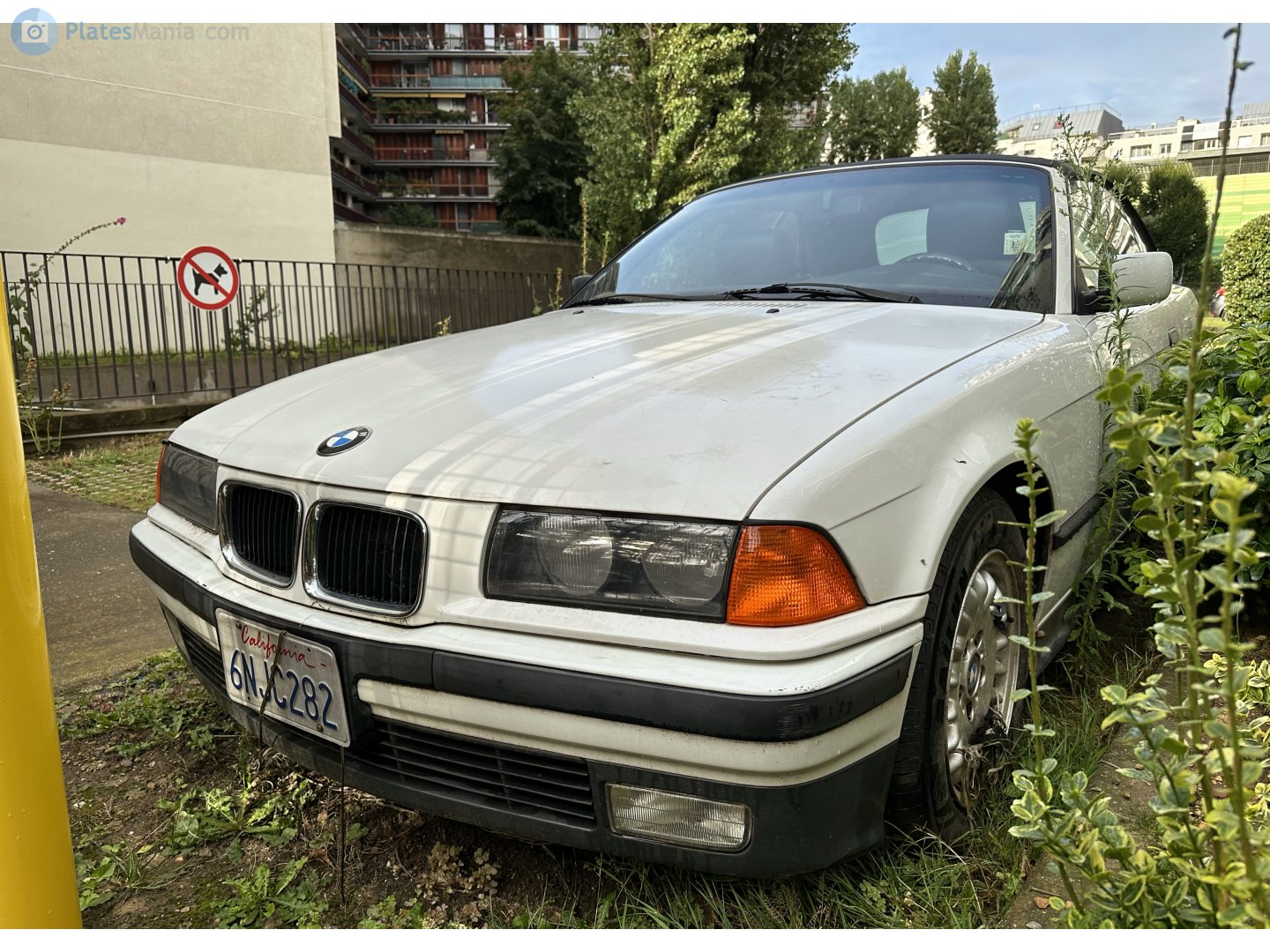 6NJC282, BMW 3 Series 3rd gen Convertible (E36), 1993–1999