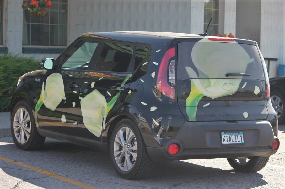 KIALILY, Kia Soul 2nd gen (PS), 2013–2019