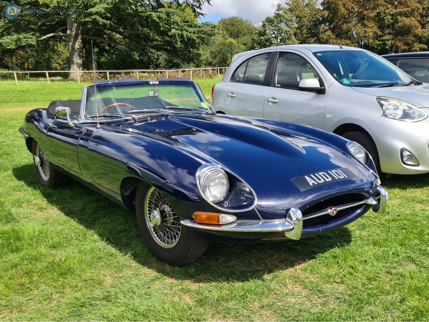 AUD101, Jaguar E-Type 