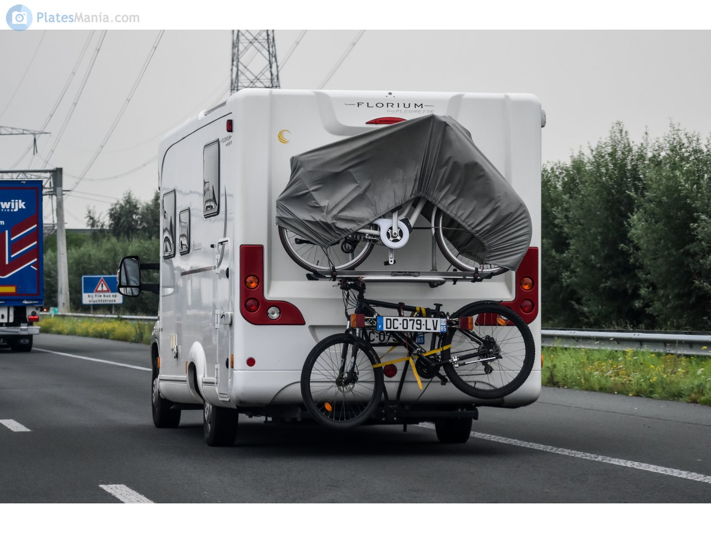 DC-079-LV, Fleurette Florium Mayflower 