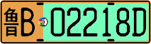 License plate of China, Electric vehicles
