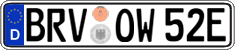 German license plate, Electric vehicles
