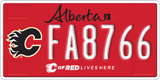 Alberta, Calgary Flames (FA1234)