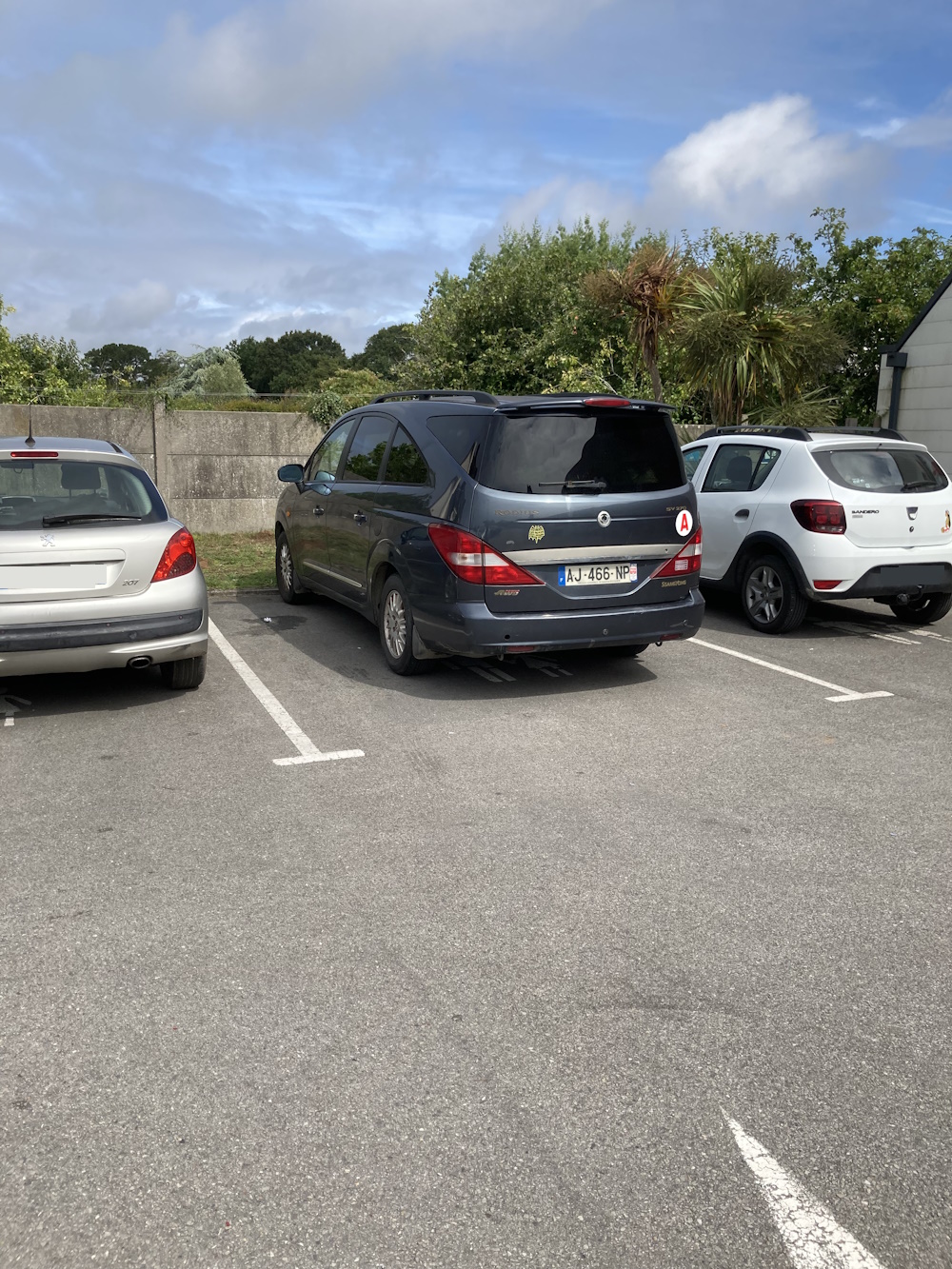 AJ-466-NP, SsangYong (KGM) Rodius / Stavic / Turismo 1st gen (A100), 2004–2007