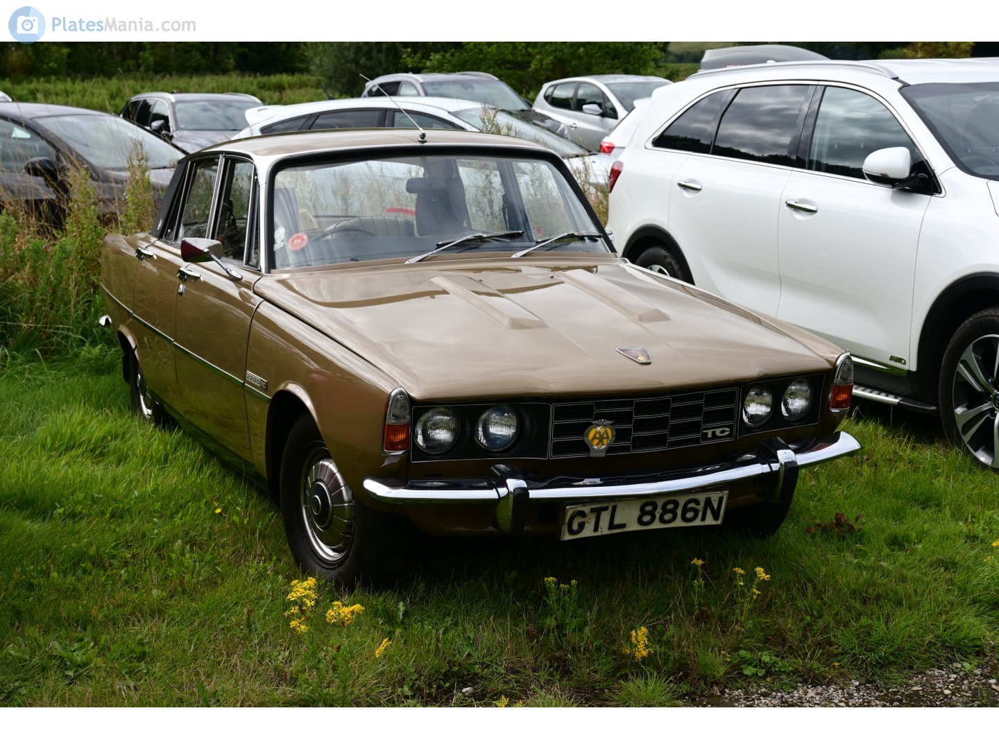 GTL886N, Rover P6 