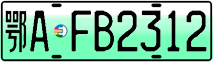 License plate of China, Electric vehicles