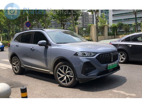 鄂A·FB2312, WEY Natie (Latte)