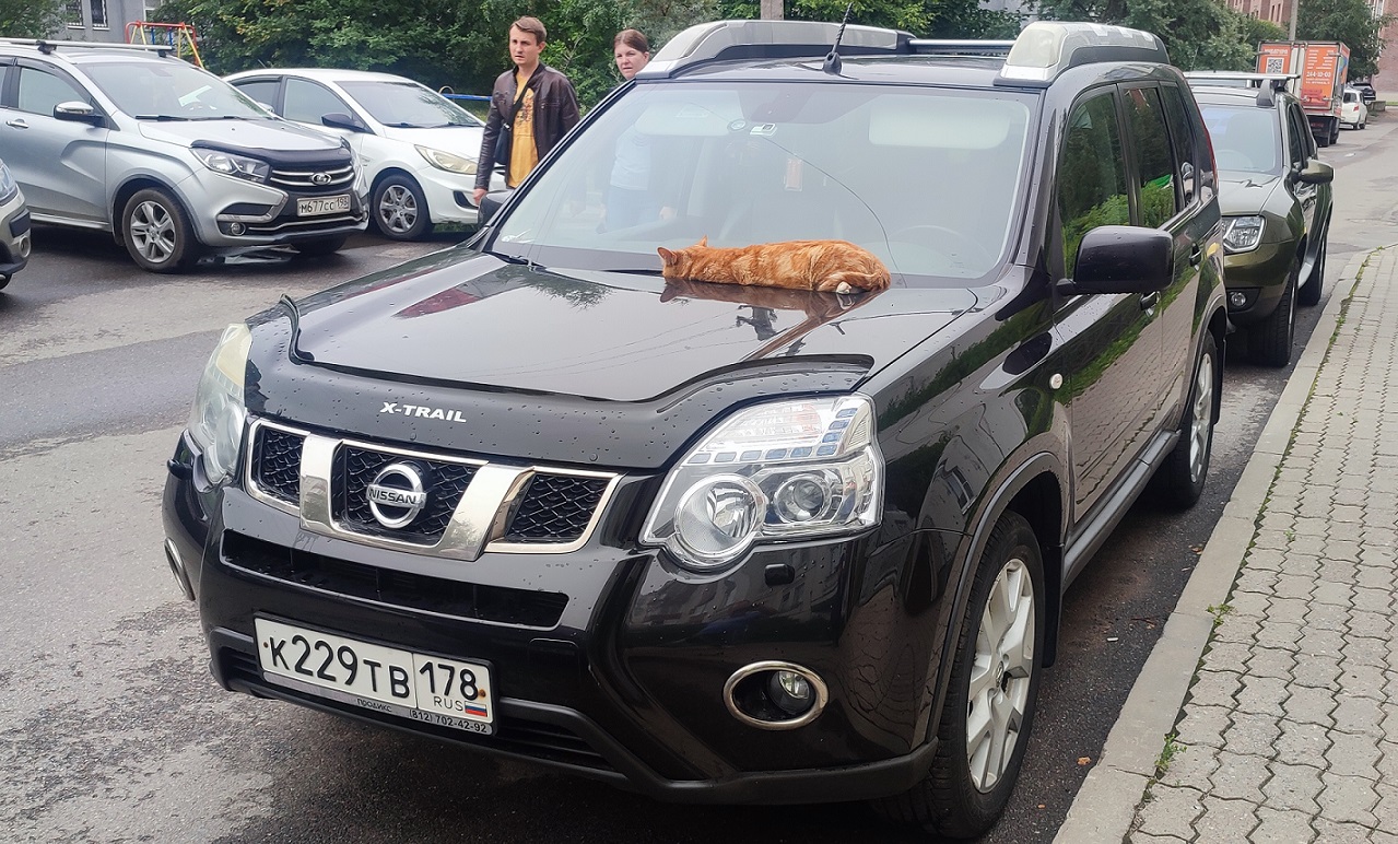 к 229 тв 178, Nissan X-Trail 2nd gen (T31), facelift, 2010–2014