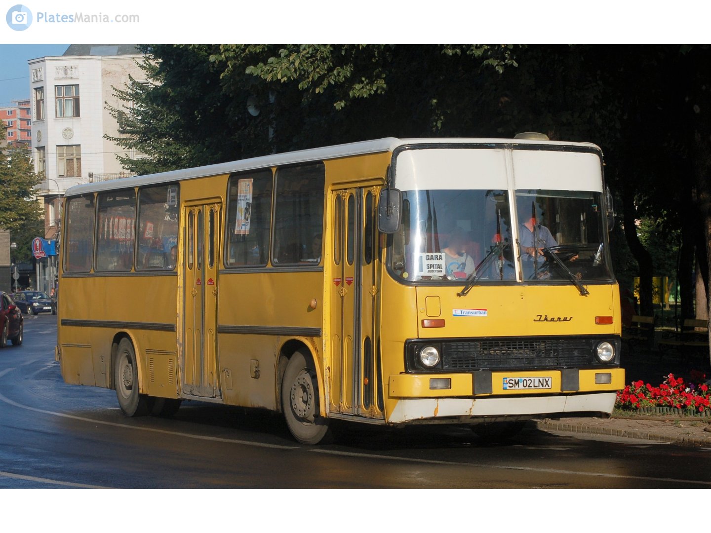 SM 02 LNX, Ikarus 260 