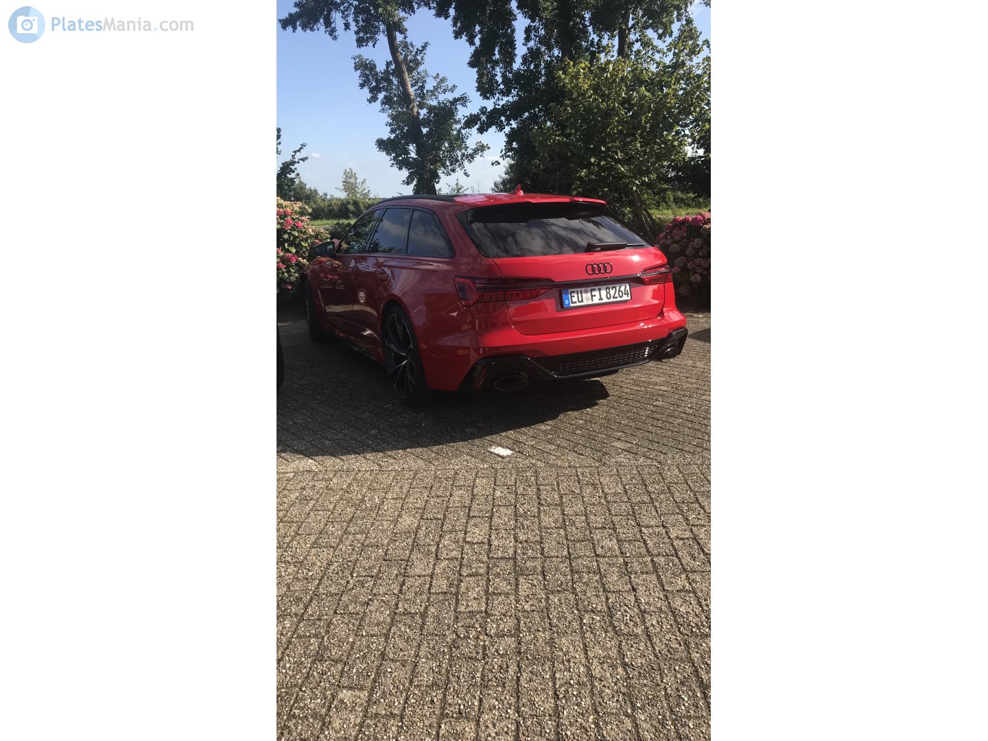 EU FI 8264, Audi RS6 4th gen (C8/4K5), 2019–
