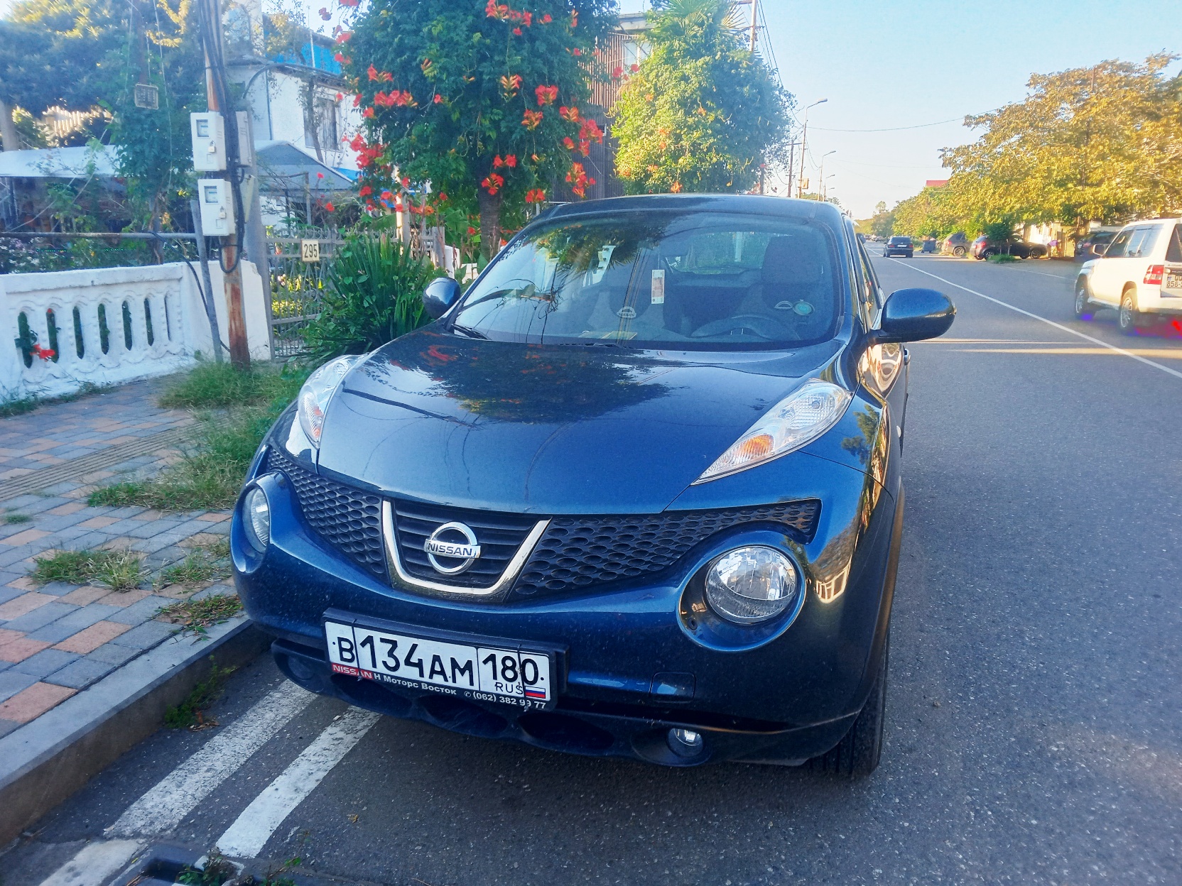 в 134 ам 180, Nissan Juke 1st gen (F15), 2010–2014