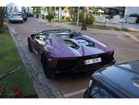 3315, Lamborghini Aventador