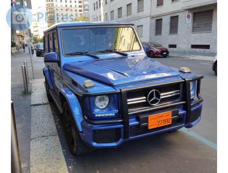 273592, Mercedes-Benz G-Klasse