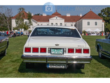 GM-CHEVY, Chevrolet Caprice