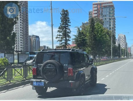 粤B·8P602, Tank 300