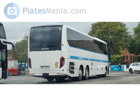 7P6 2020, MAN Lion