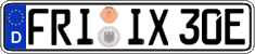 German license plate, Electric vehicles