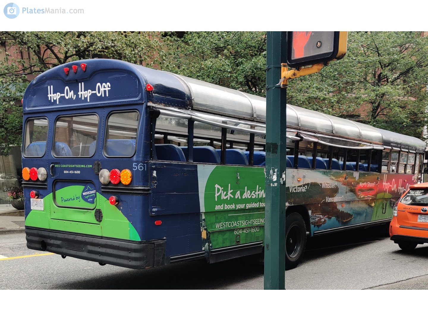 VC-8103, Blue Bird All American/Canadian 