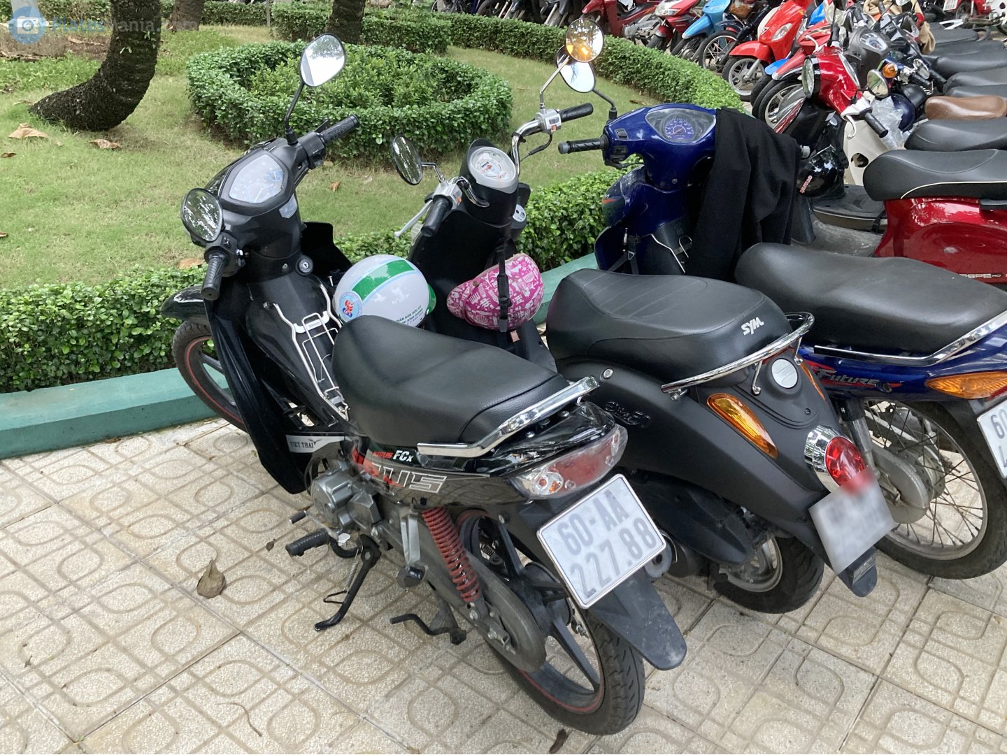 60-AA 227.88, Daelim Sirius 