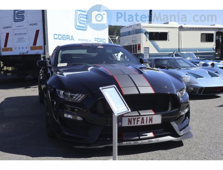 NYFAIM, Ford Mustang