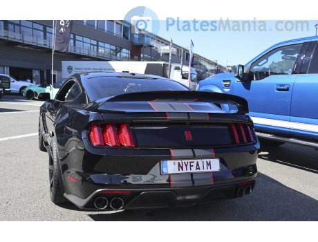 NYFAIM, Ford Mustang