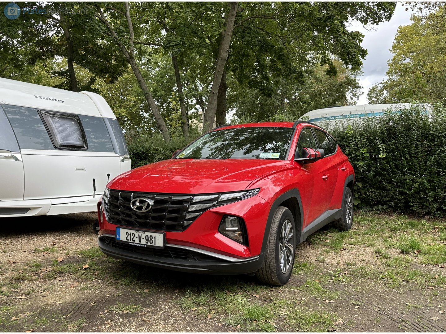 212-W-981, Hyundai Tucson 4th gen (NX4), 2020–2024