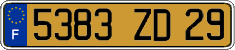 French license plate, FNI