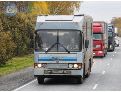 с849мк716, KamAZ Ajokki Магнолия