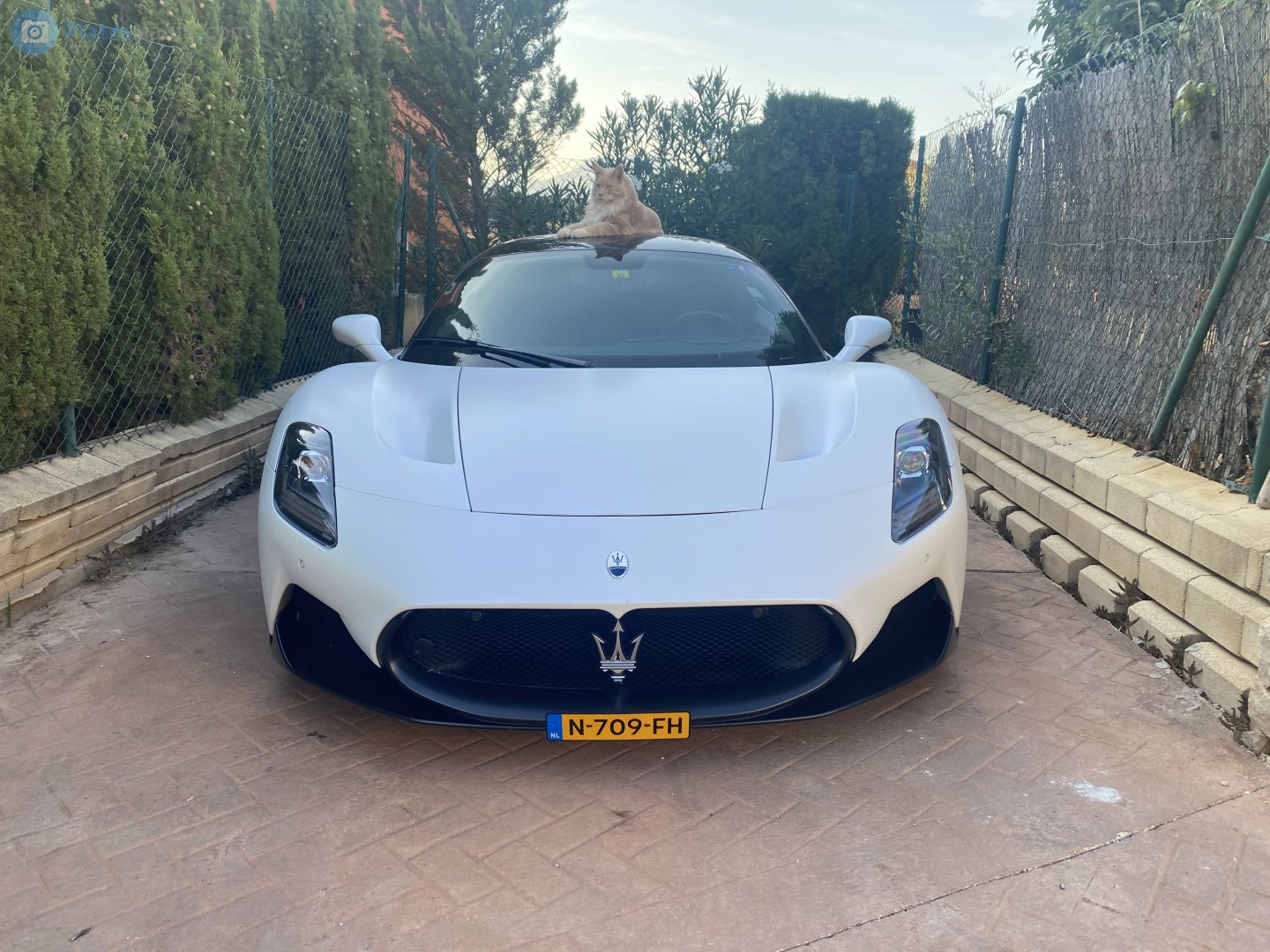 N-709-FH, Maserati MC20 1st gen Coupé (M240), 2020–