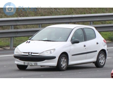 B 4614 VB, Peugeot 206