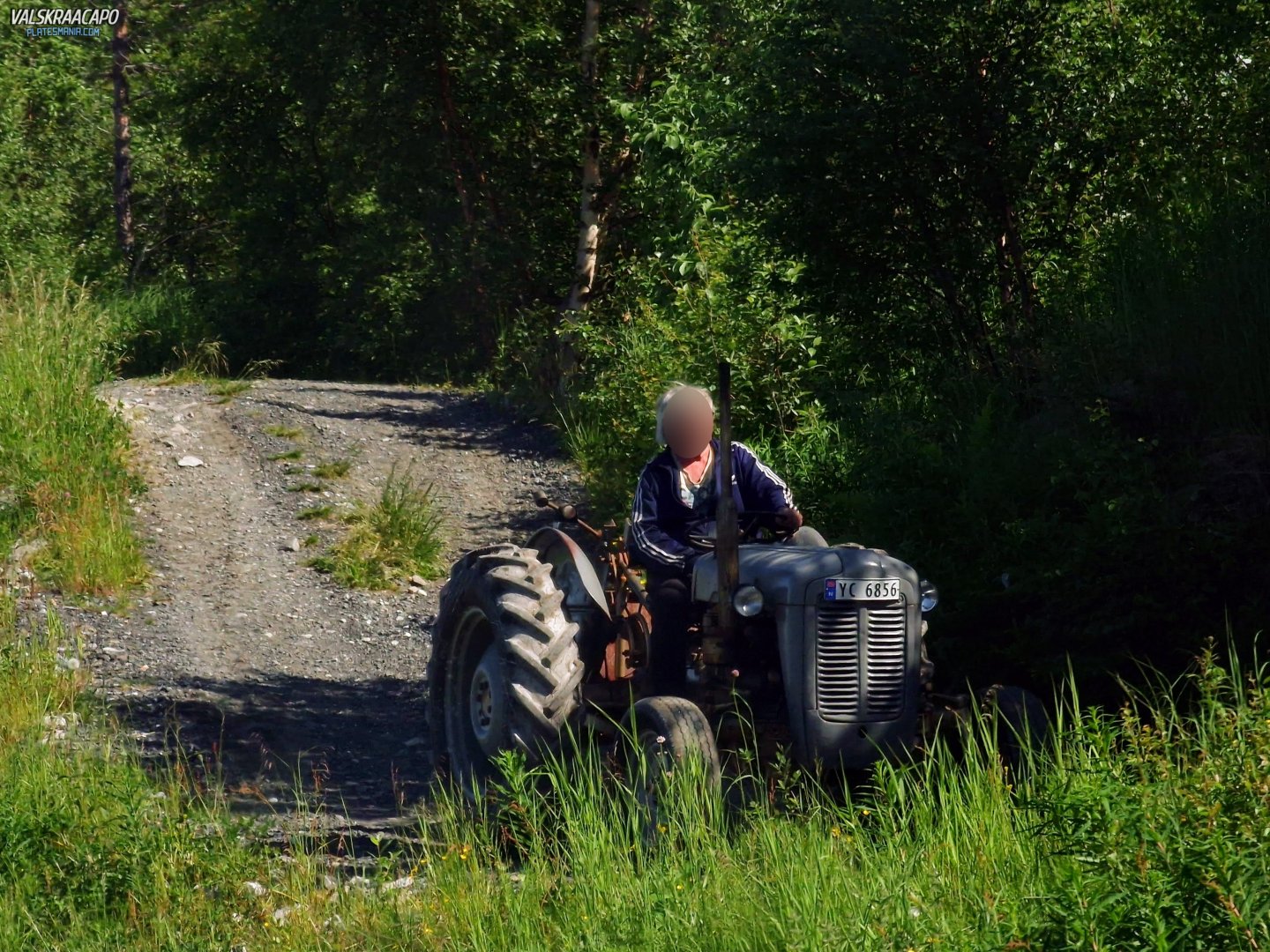 YC 6856, Massey Ferguson 