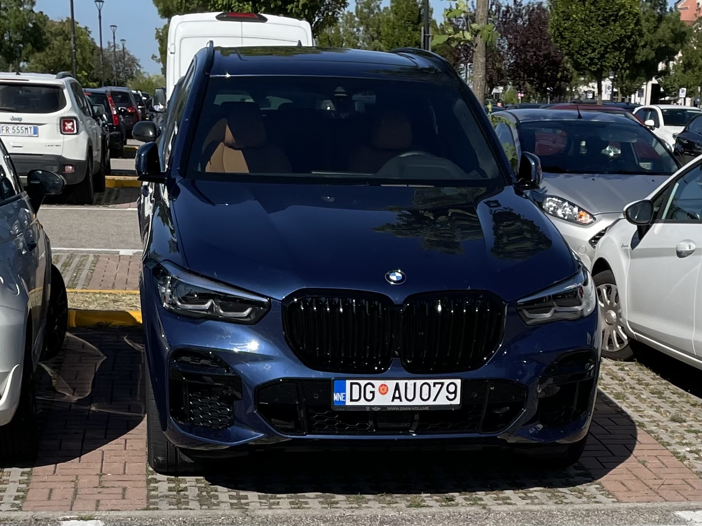 DG AU079, BMW X5 4th gen (G05), 2018–2023