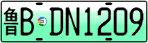 License plate of China, Electric vehicles