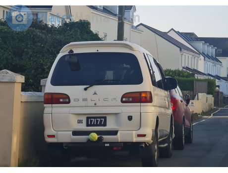 17177, Mitsubishi Delica