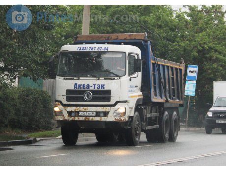х005хс96, DongFeng Dalishen