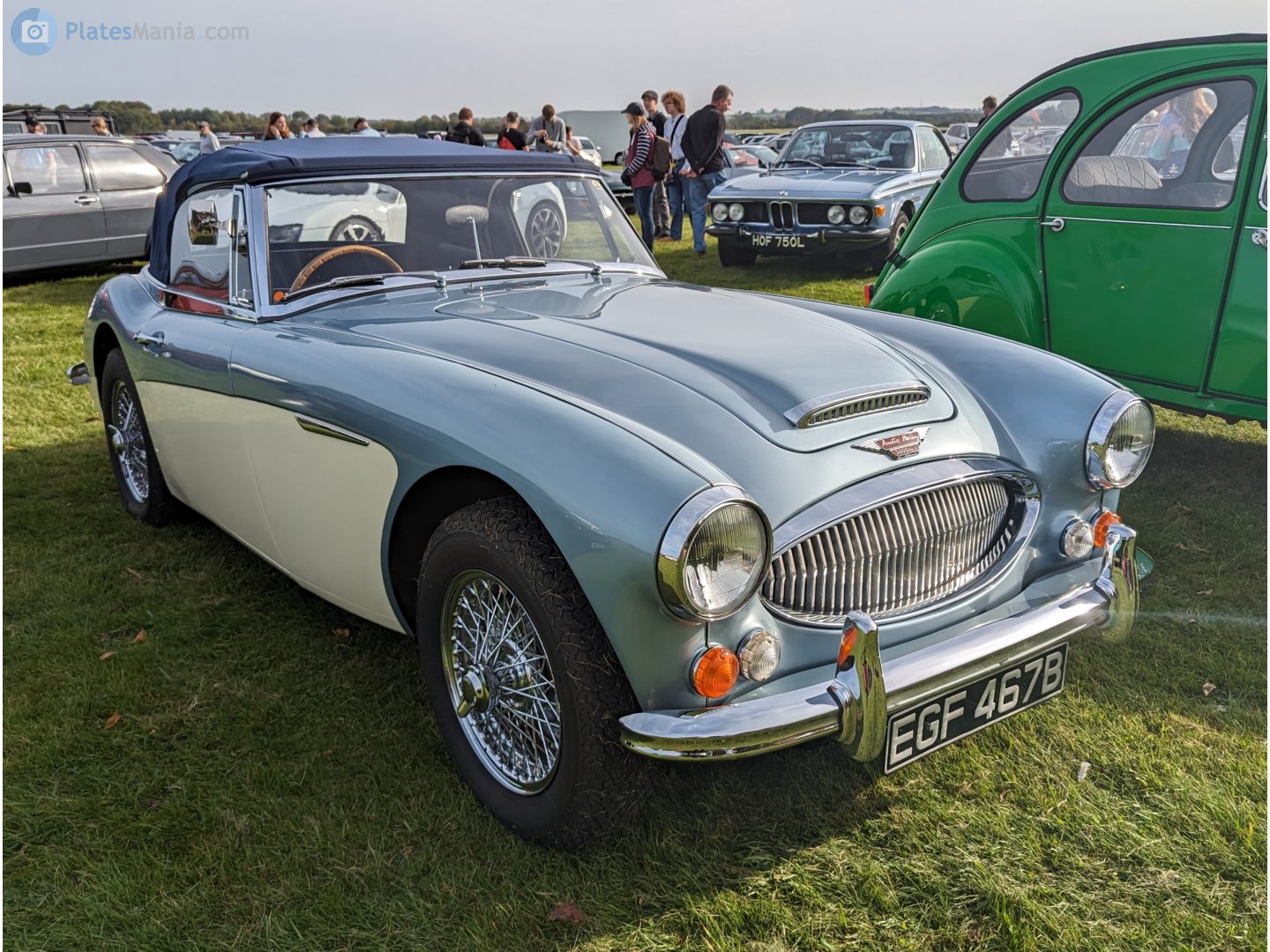 EGF467B, Austin-Healey 100/3000 