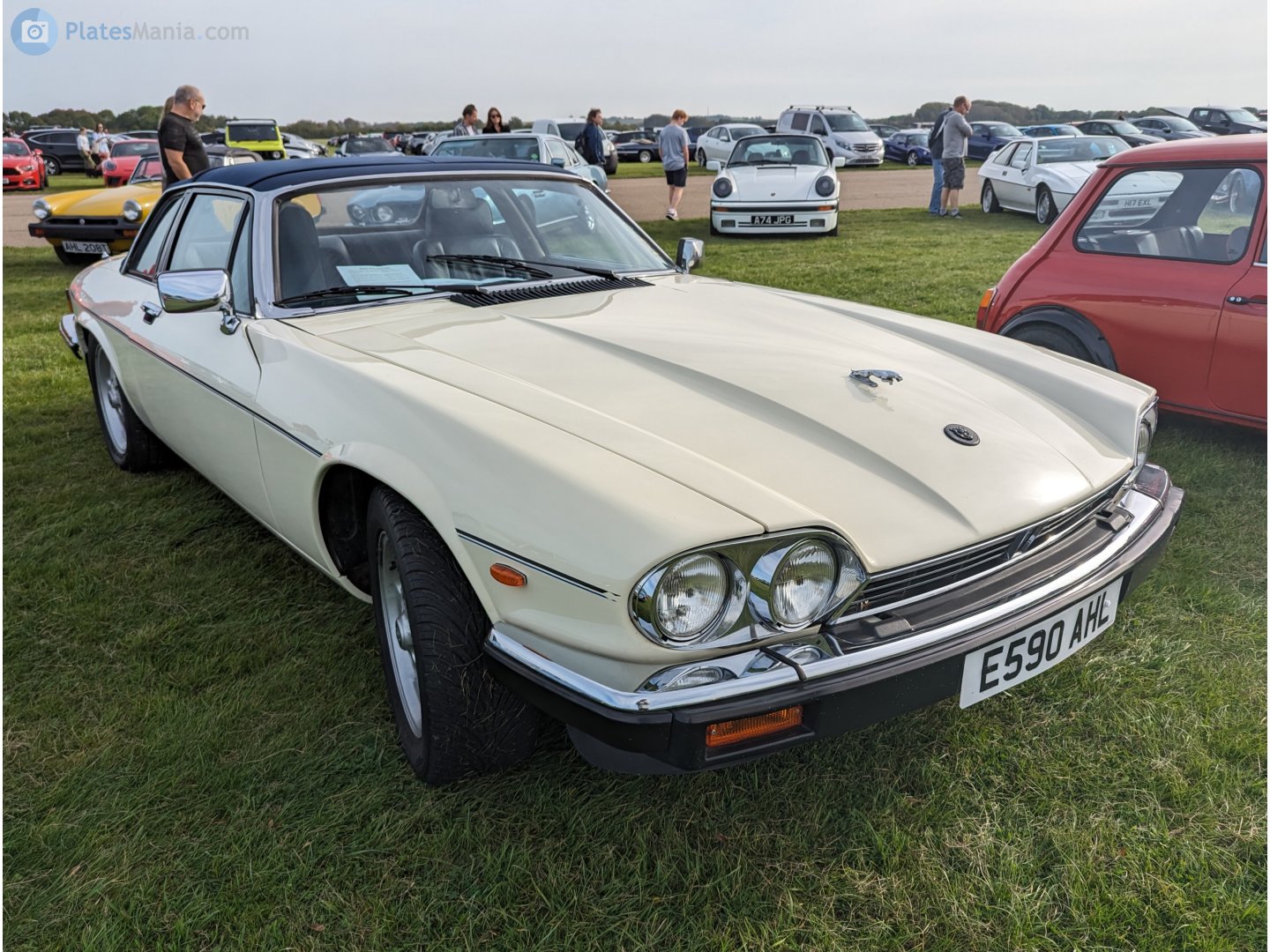 E590AHL, Jaguar XJS XJ-S Targa (Series 2), 1983–1988